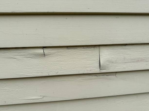 Best Steel Siding Installation  in Sullivans Island, SC